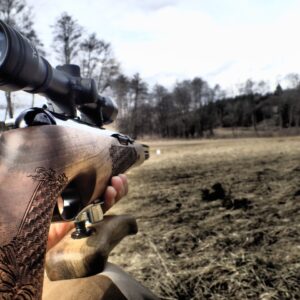 Guns