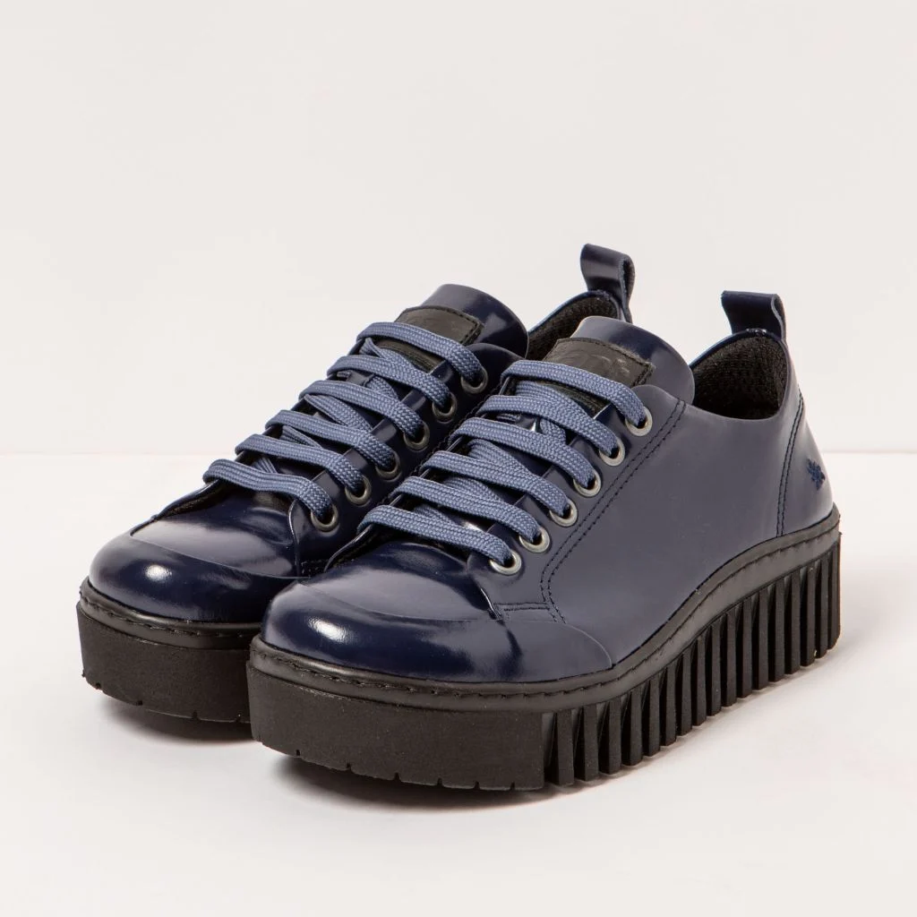Art Brighton 1535 - Shinny Navy